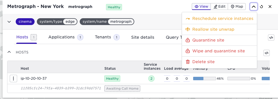 Metrograph system dashboard showing hosts, status, service instances, and site maintenance options.