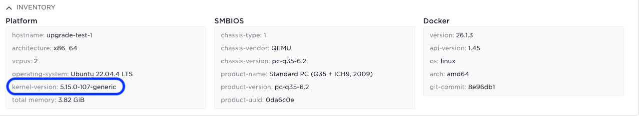 Using the host details menu in Control Tower, you can see the OS version after the update.