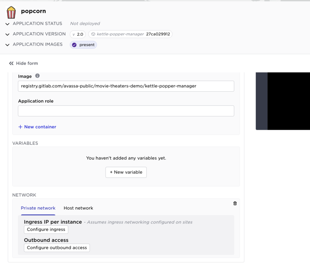 Screenshot of the network section of an application, showing options for configuring ingress and outbound access.