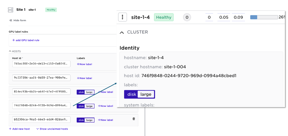 "Avassa platform view of site-level host configuration, showing host labels such as 'disk' and 'large' for node identification and cluster insights. A detailed pop-up reveals host metadata and health status for 'site-1-4' within Site 1.