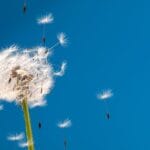 Mastering edge deployment key strategies