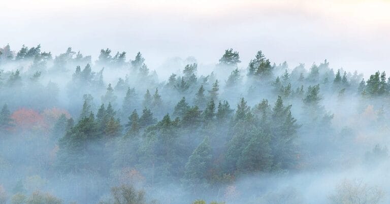 What Happened to Fog Computing? Fog vs. Edge Explained